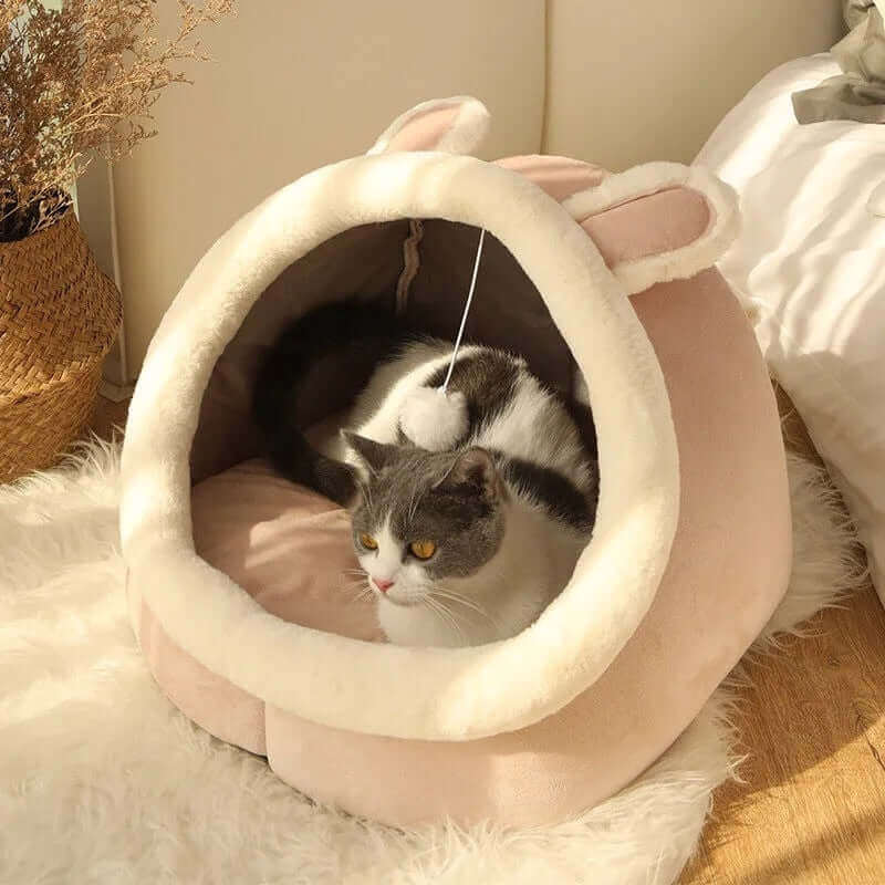 sweet cat bed - perfect for relaxation