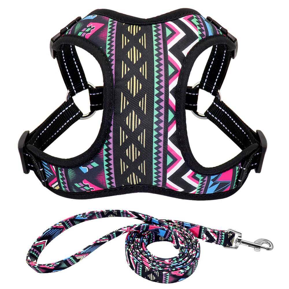 Say Goodbye to Pulling: Nylon Dog Harness for Stress-Free Walks