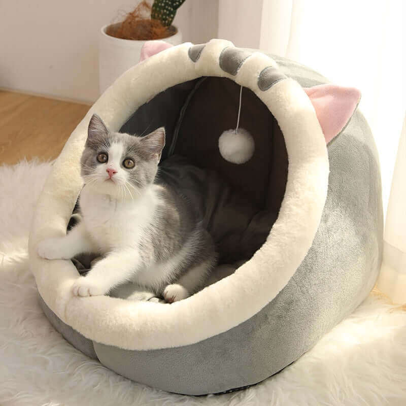 sweet cat bed - perfect for relaxation