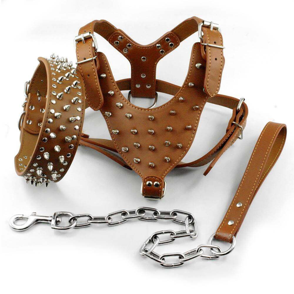 Pawsitively Stylish: Adorable Spiked Studded Leather Dog Harnesses