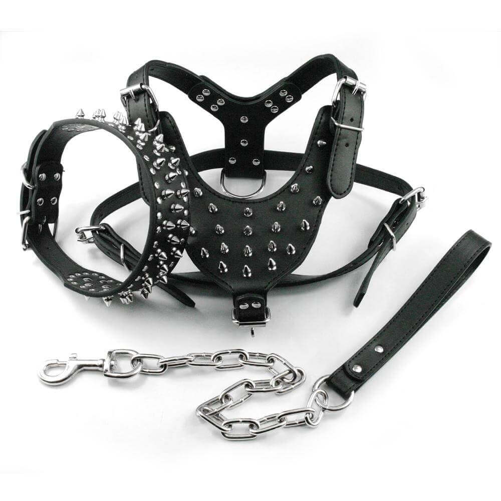 Pawsitively Stylish: Adorable Spiked Studded Leather Dog Harnesses