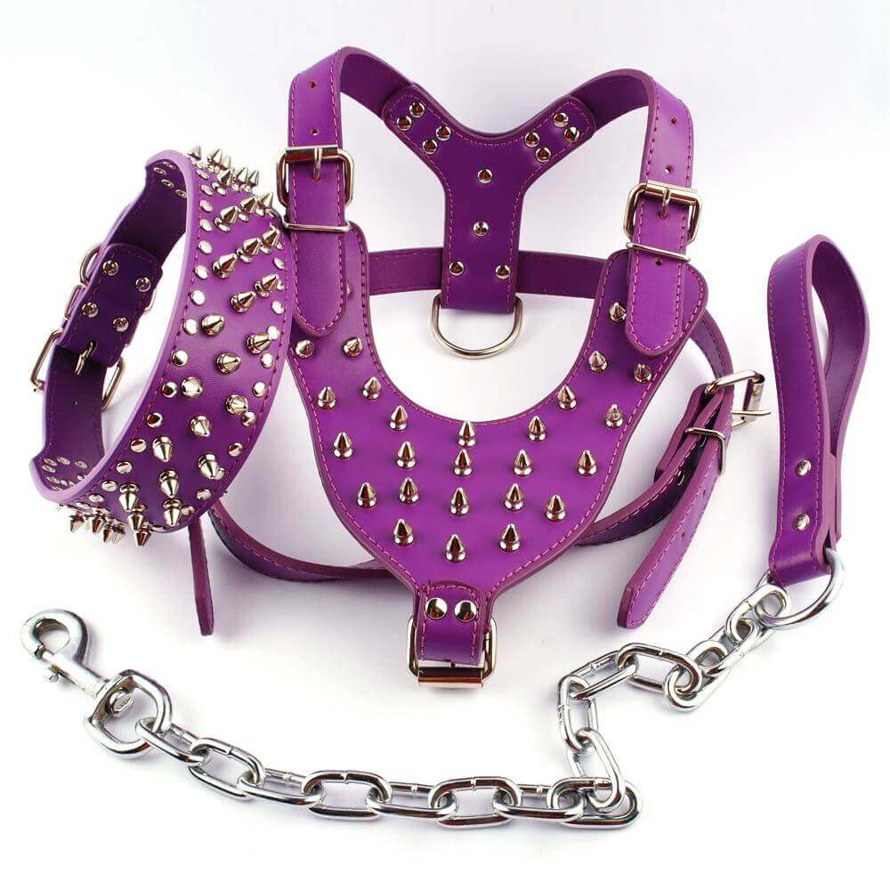 Pawsitively Stylish: Adorable Spiked Studded Leather Dog Harnesses