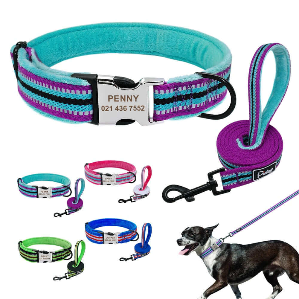 Gentle on Skin: Soft Padded Dog Collar for Ultimate Comfort