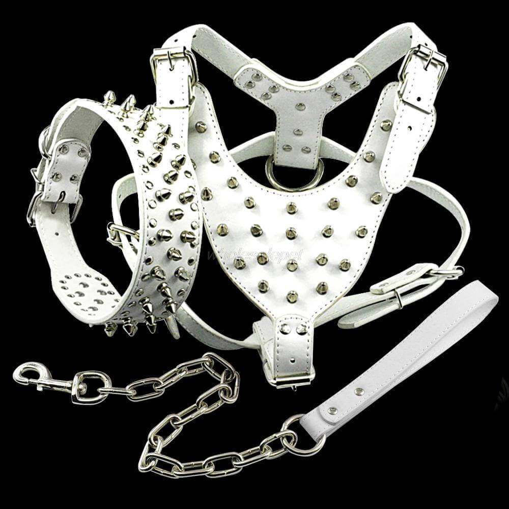 Pawsitively Stylish: Adorable Spiked Studded Leather Dog Harnesses