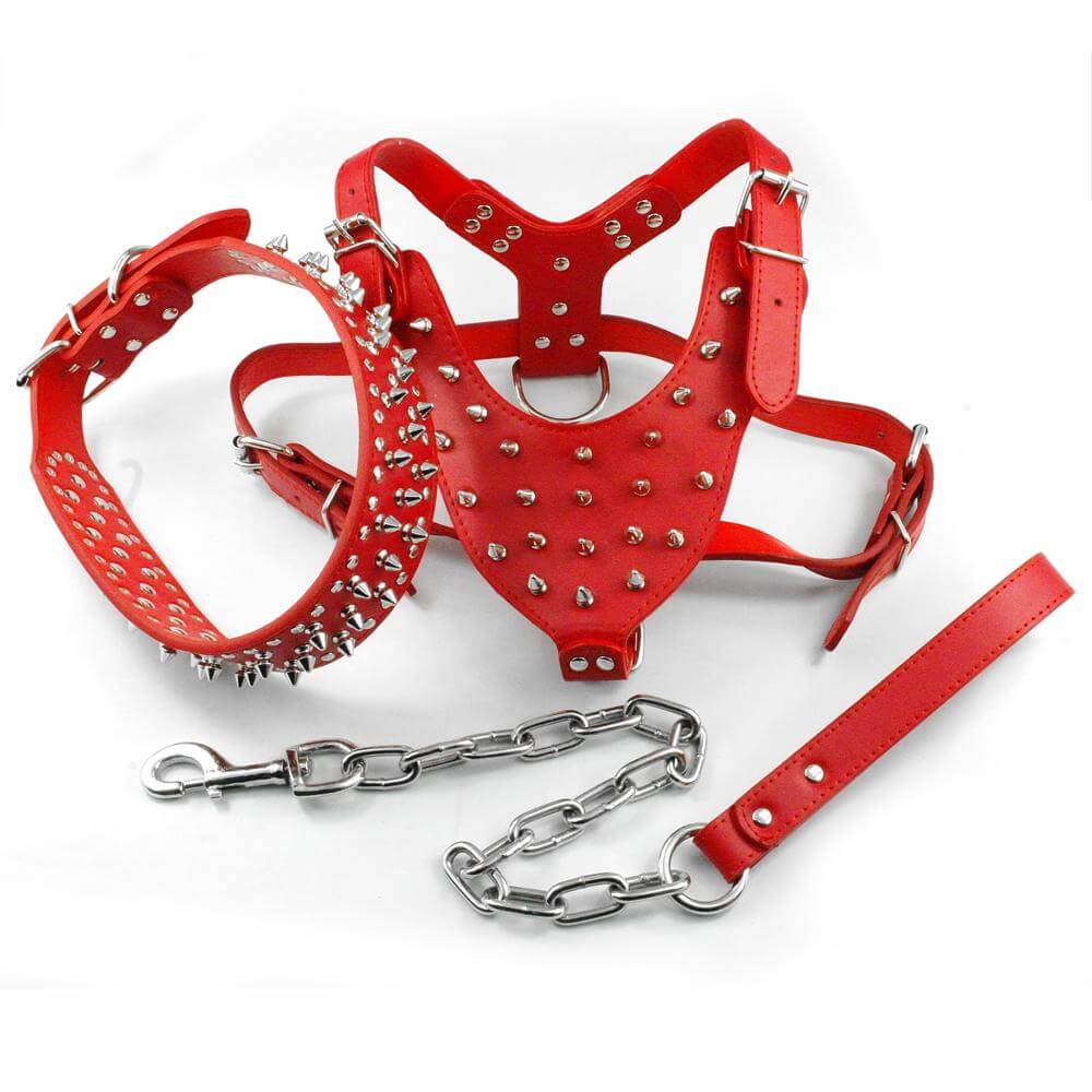 Pawsitively Stylish: Adorable Spiked Studded Leather Dog Harnesses