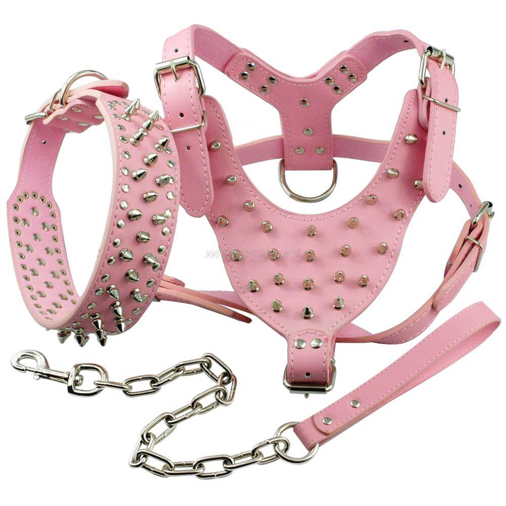 Pawsitively Stylish: Adorable Spiked Studded Leather Dog Harnesses