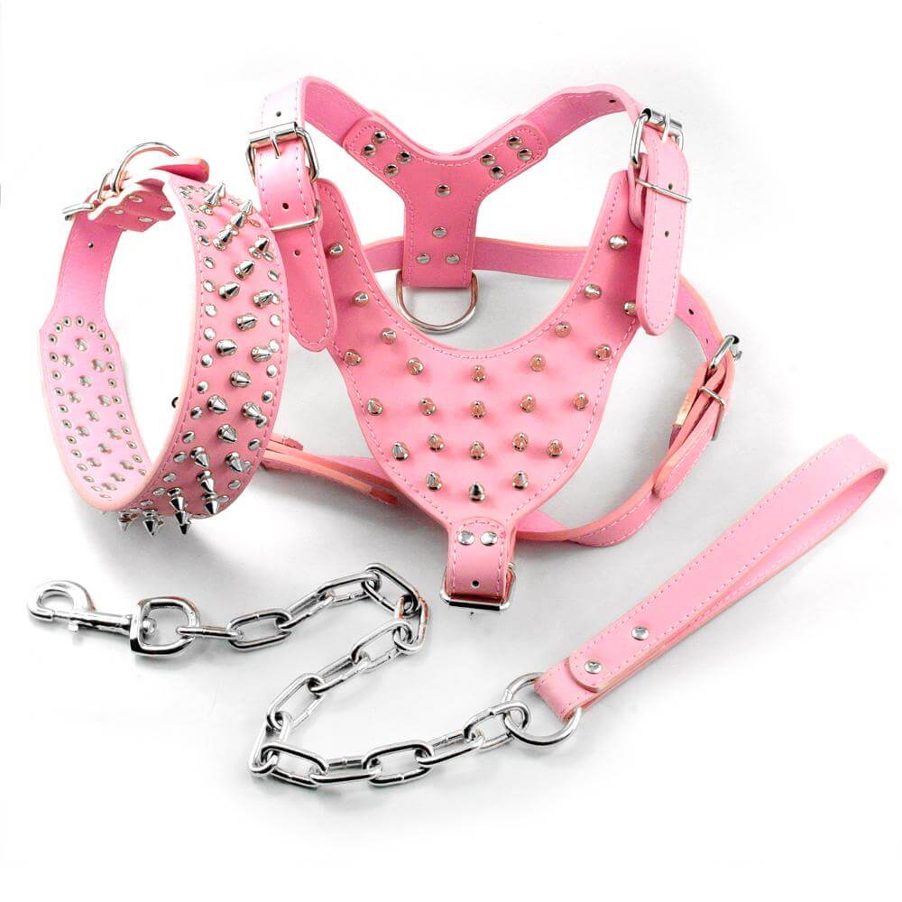 Pawsitively Stylish: Adorable Spiked Studded Leather Dog Harnesses