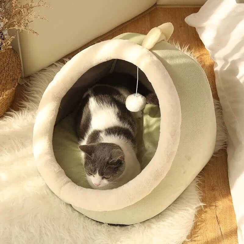 sweet cat bed - perfect for relaxation