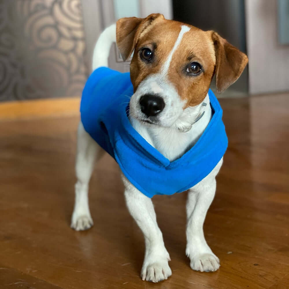 Stay Warm & Stylish: Trendy Fleece Vests for Small Dogs This Winter