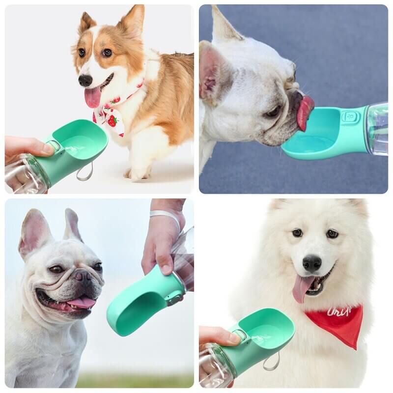 Fashionable Portable Water Cup: Essential Hydration Gear for Pet Lovers