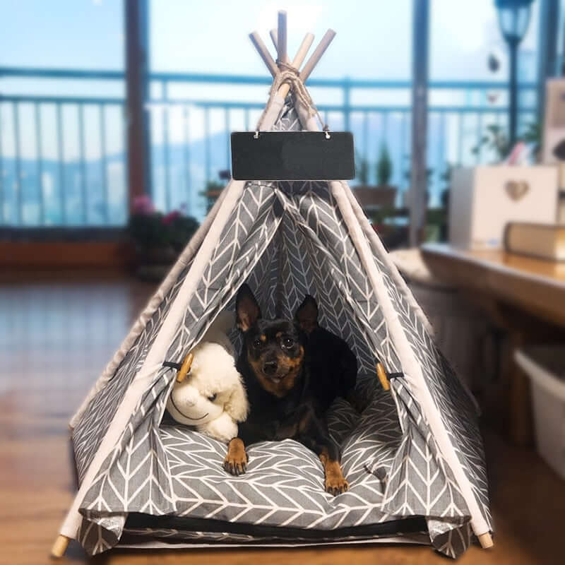 Adorable Dog Relaxing In a Stylish Teepee