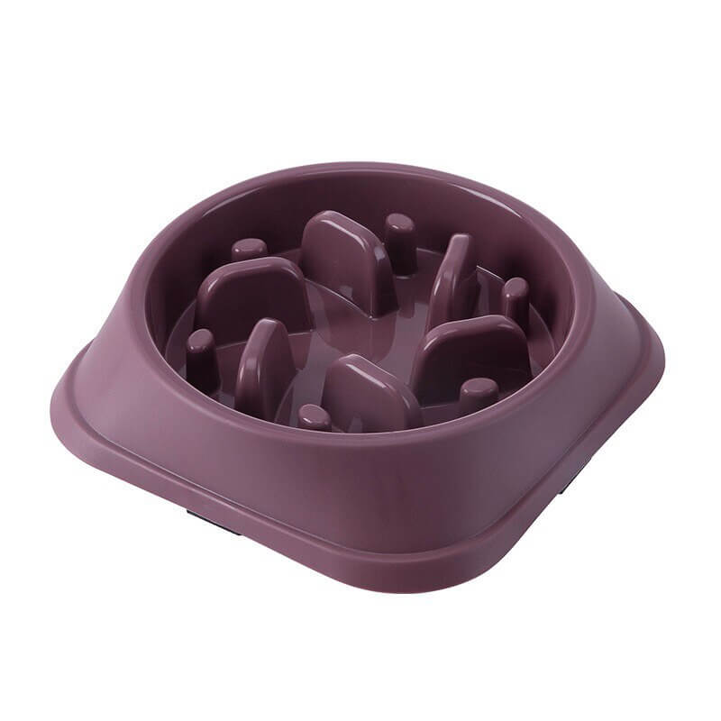 Compact Slow Feed Bowls: Essential Supplies for Healthier Puppy Meals