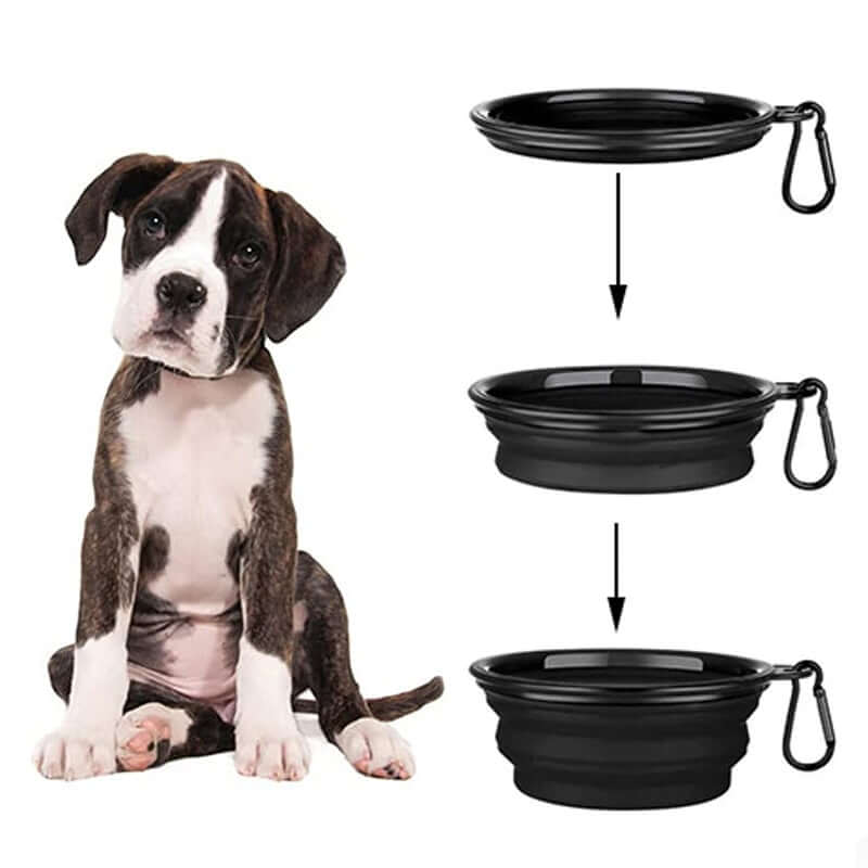 Travel-Friendly Silicone Bowls: Collapsible and Stylish for Pets on the Move