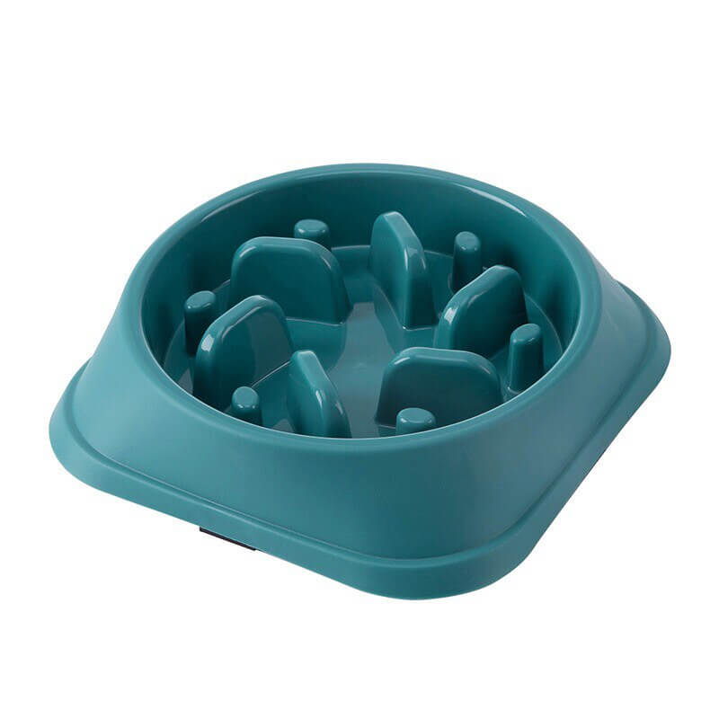 Compact Slow Feed Bowls: Essential Supplies for Healthier Puppy Meals