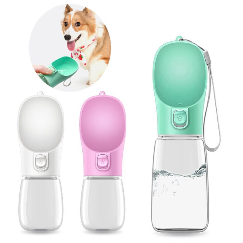 Fashionable Portable Water Cup: Essential Hydration Gear for Pet Lovers